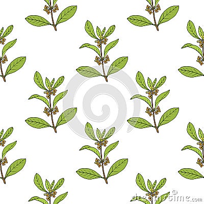 Seamless pattern with sweet osmanthus, Vector Illustration