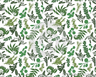 Seamless pattern, texture print with light watercolor hand drawn green eucalyptus ,forest fern, branches boxwood, brunia, buxus. Vector Illustration