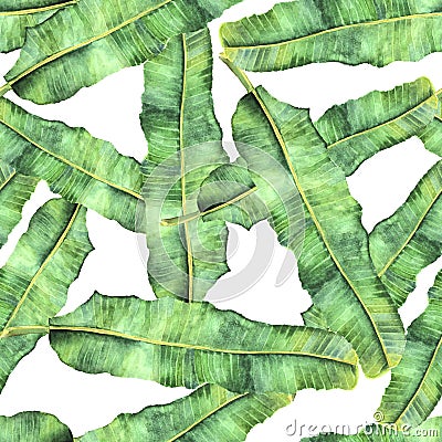 Seamless pattern thicket of palm leaf Banana Stock Photo