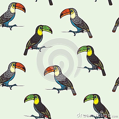 Seamless pattern with toucans. Stock Photo