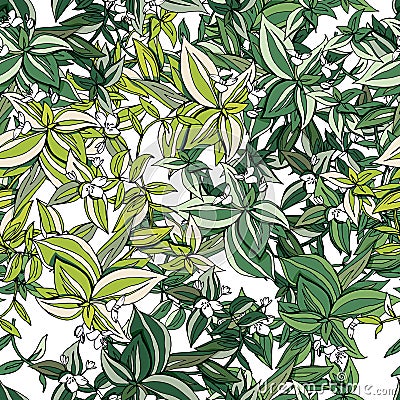 Seamless pattern with traditional homeplant Tradescantia. Endless texture with flower used indoor Stock Photo