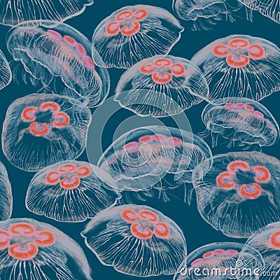 Seamless pattern with transparent jellyfishes Cartoon Illustration