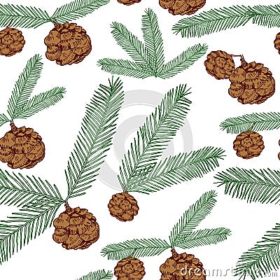 Seamless pattern tree twigs and cones painted line and colored on white. Tree, fir, pine cones, twigs. illustration Cartoon Illustration