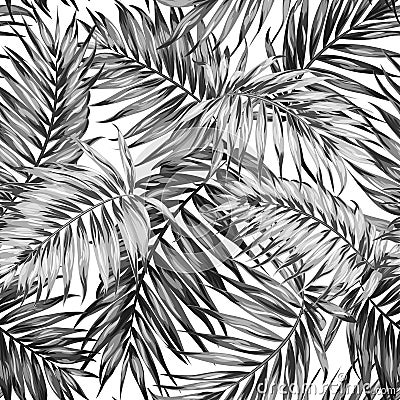 Seamless pattern tropic jungle leaves black white Vector Illustration