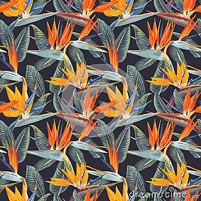 Seamless pattern with tropical flowers and leaves of Strelitzia Reginae on dark background. Vector Illustration