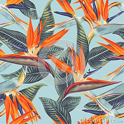 Seamless pattern with tropical flowers and leaves of Strelitzia Reginae. Vector Illustration