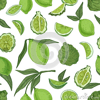 Seamless pattern with tropical limes and bergamots on white background. Endless repeatable texture with realistic green Vector Illustration