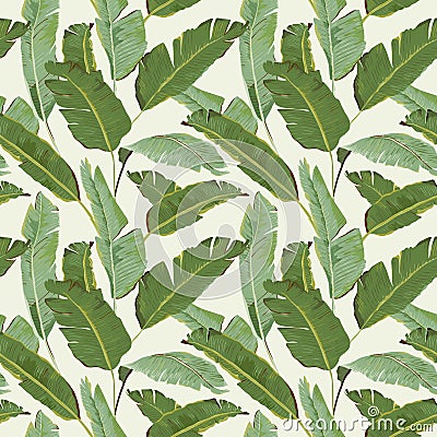 Seamless Pattern. Tropical Palm Leaves Background. Banana Leaves Vector Illustration