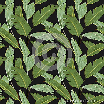 Seamless Pattern. Tropical Palm Leaves Background. Banana Leaves Vector Illustration