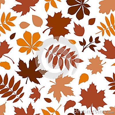 Seamless pattern with various brown autumn leaves on white. Vector illustration. Vector Illustration