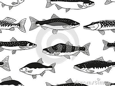 Seamless pattern various fish. Vector black and white graphics Vector Illustration