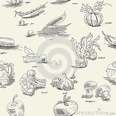 Seamless pattern with vegetable Vector Illustration