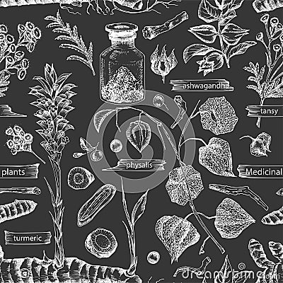 Seamless pattern with vintage hand drawn sketch medicine herbs elements isolated on black chalk board background. wormwood, Vector Illustration