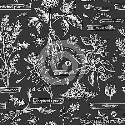 Seamless pattern with vintage hand drawn sketch medicine herbs elements isolated on black chalk board background. wormwood, Vector Illustration
