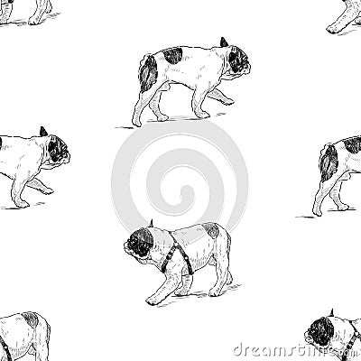 Seamless pattern of walking spotted french dogs sketches Vector Illustration