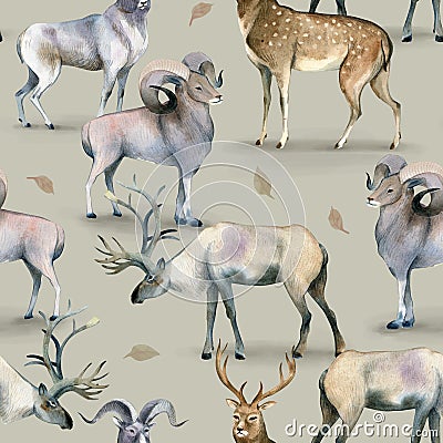 Seamless pattern, Watercolor background of stag, deer and mutton on gray Stock Photo