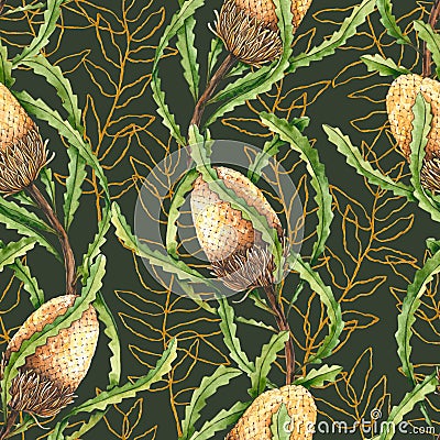 Seamless pattern of watercolor banksia and golden branches. Hand drawn illustration. Exotic plants Cartoon Illustration