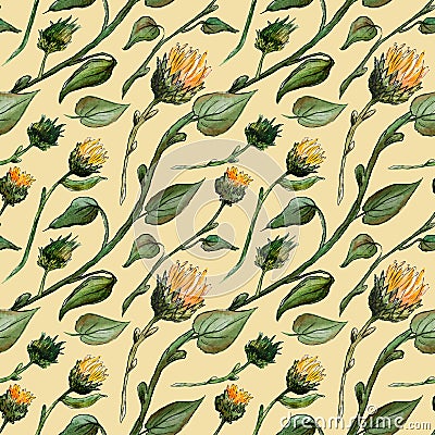 Seamless pattern watercolor buds stalks sunflower leaves on a yellow background Stock Photo