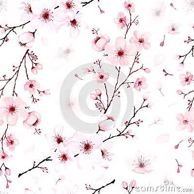 Seamless pattern with watercolor cherry blossom branches hand painted Stock Photo