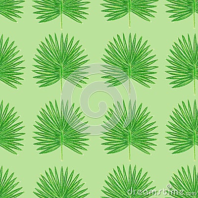 Seamless pattern with watercolor colored pencils hand drawn illustration of tropic leaves of marijuana Cartoon Illustration