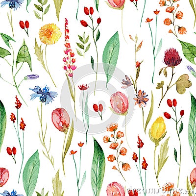 Seamless pattern of watercolor different summer wildflowers Cartoon Illustration