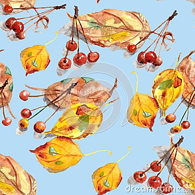 Seamless pattern of watercolor drawing set of autumn leaves and small ornamental paradise apples on a light blue background Cartoon Illustration