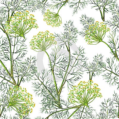 Seamless pattern of watercolor fennel plant Stock Photo