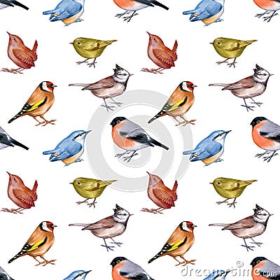 Seamless pattern with watercolor of forest birds. Cartoon Illustration