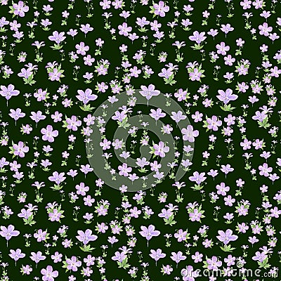 Seamless pattern of watercolor geranium flowers. Perfect for web design, cosmetics design, package, textile, wedding invitation, Stock Photo