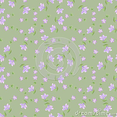 Seamless pattern of watercolor geranium flowers. Perfect for web design, cosmetics design, package, textile, wedding invitation, Stock Photo