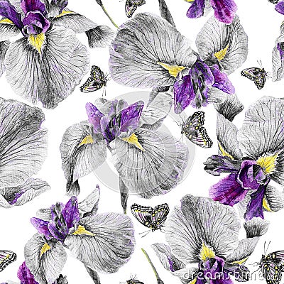 Seamless pattern. Watercolor iris, leaves, butterfly. Stock Photo