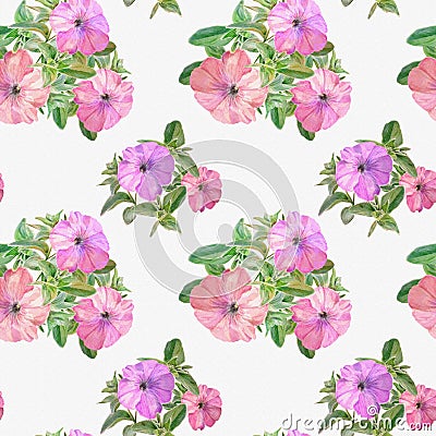 Seamless pattern of watercolor petunia flowers on a white background Stock Photo