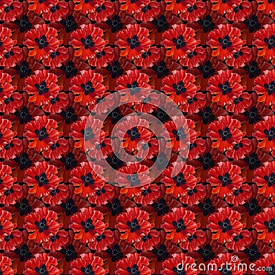 Seamless pattern with watercolor poppies Stock Photo