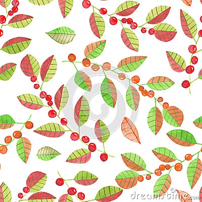 A seamless pattern with the watercolor red and orange berries on the branches with leaves on a white background Stock Photo