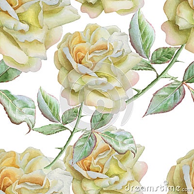 Seamless pattern with watercolor roses. Stock Photo