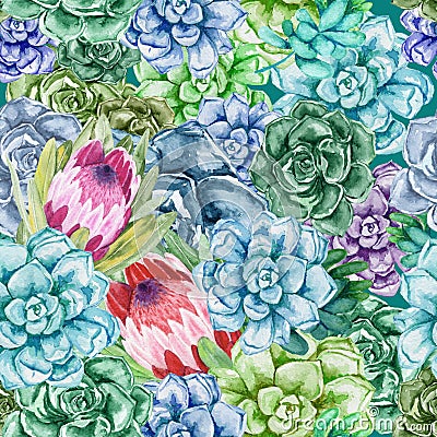 Seamless pattern. Watercolor succulents with protea flowers. Color cacti Stock Photo