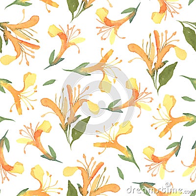 Seamless pattern of watercolor yellow Lonicera flowers on white Stock Photo