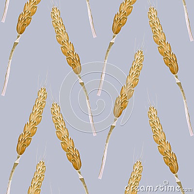 Seamless pattern of wheat Stock Photo