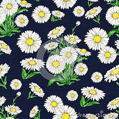 Seamless pattern with white camomile daisy on blue background Cartoon Illustration