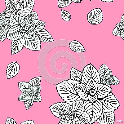 Seamless pattern white mint leaves on a pink background. Vector Illustration