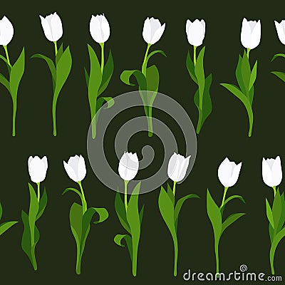 Seamless pattern of white tulips painted by hand on black background. In vertical position. Vector Illustration