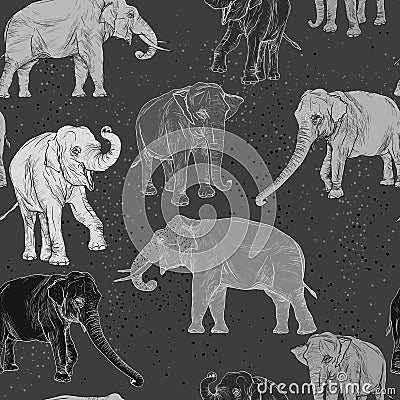 Seamless pattern with wild elephant Stock Photo