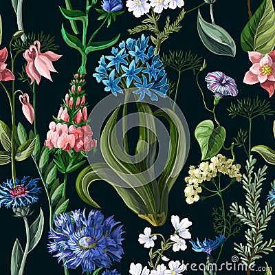 Seamless pattern with wild flowers on a dark background. Vector illustration. Vector Illustration