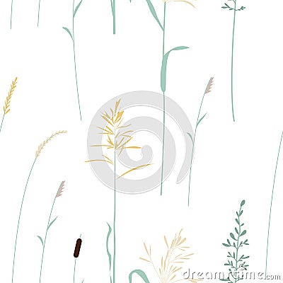 Seamless pattern with wild grasses field Vector Illustration