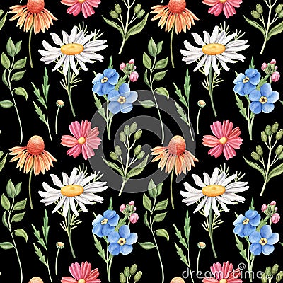 Seamless pattern with wild summer flowers on black Cartoon Illustration