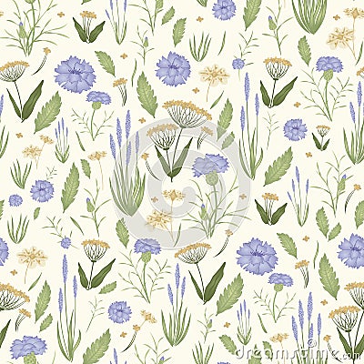 Seamless pattern with wildflowers. Cornflowers and flowering herbs Vector Illustration