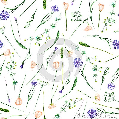 Seamless pattern with wildflowers, eustoma and cornflowers Stock Photo