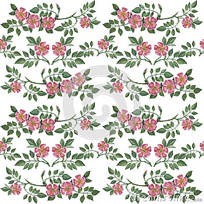 Seamless pattern with wildrose on white background. Stock Photo