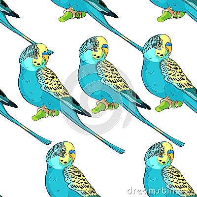 seamless pattern Yellow face blue wavy parrot. Vector illustration Vector Illustration