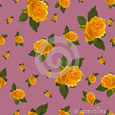 Seamless pattern yellow rose Stock Photo